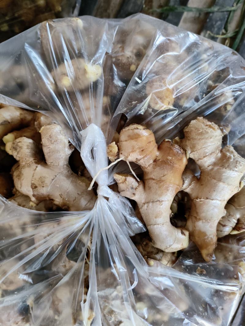 老姜（新鮮老生姜现货供应）