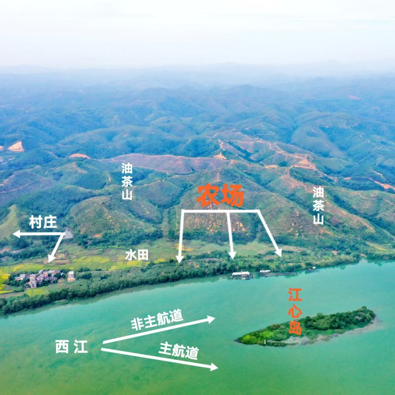 【转让】50亩广西梧州藤县西江边生态农场（含江心岛）