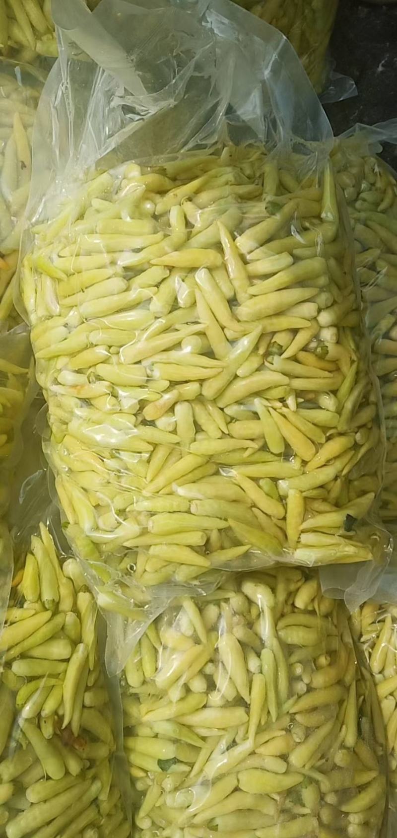 腌制白泡椒，美人椒大量供应，质量保证，诚信经营，代发全国