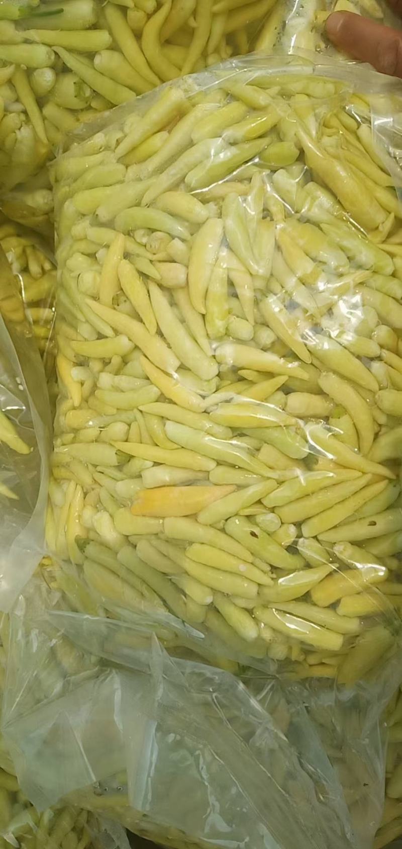 腌制白泡椒，美人椒大量供应，质量保证，诚信经营，代发全国