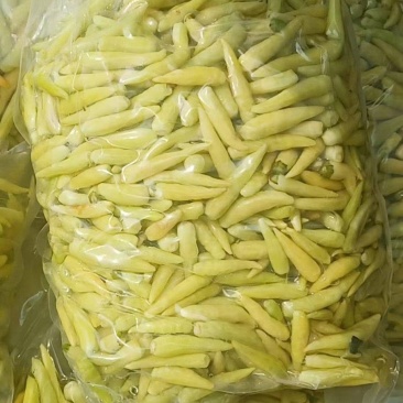 腌制白泡椒，美人椒大量供应，质量保证，诚信经营，代发全国