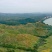 【转让】1300亩广西梧州藤县西江边油茶基地