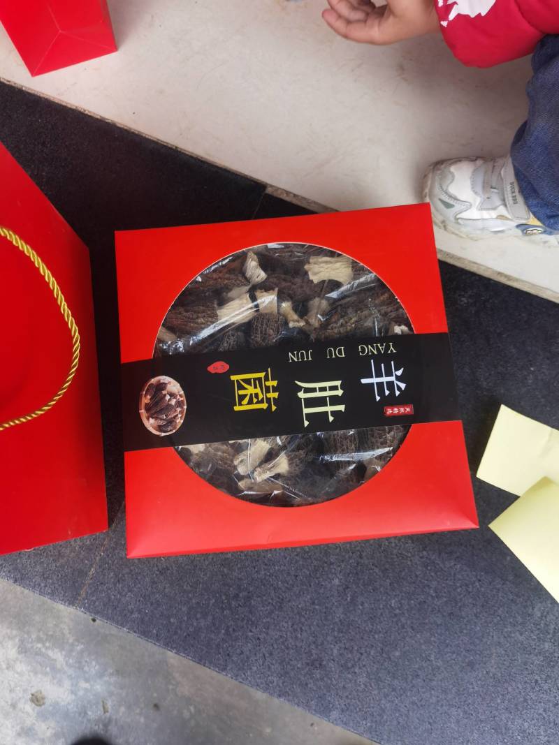 羊肚菌