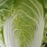建瓯高山黄心大白菜！！！！！！！！！！！