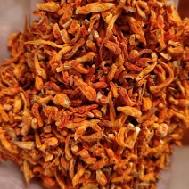 虫草花碎料
