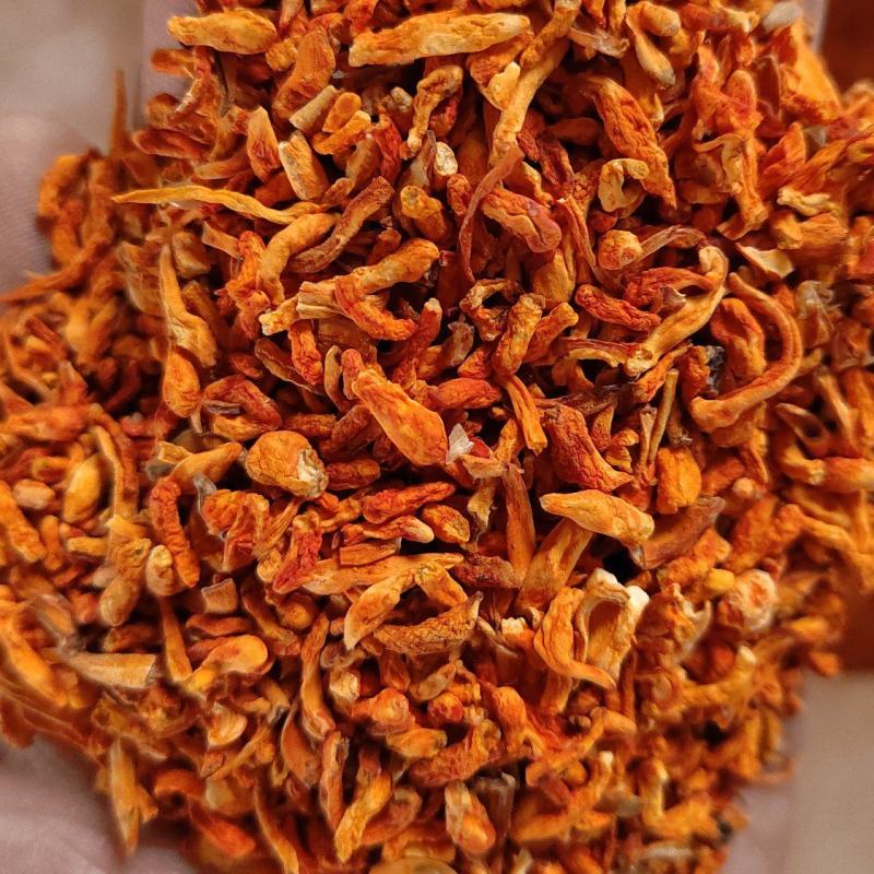 虫草花碎料