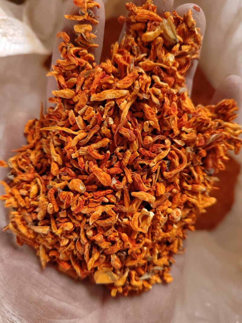 虫草花碎料
