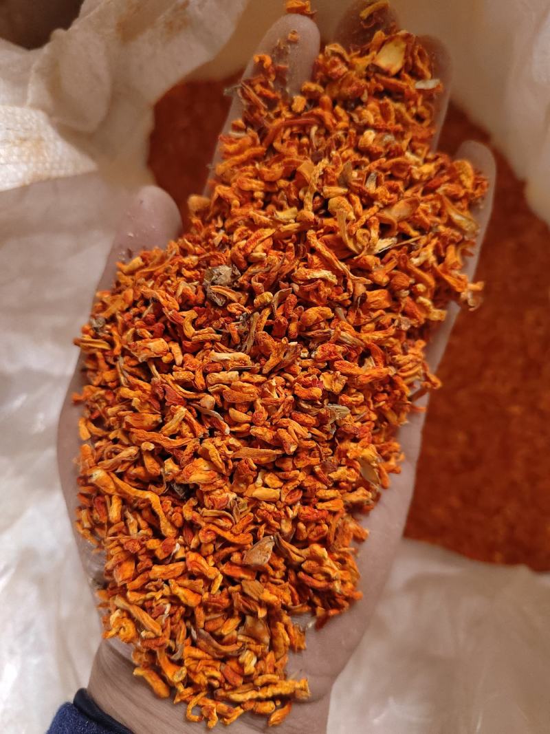 虫草花碎料