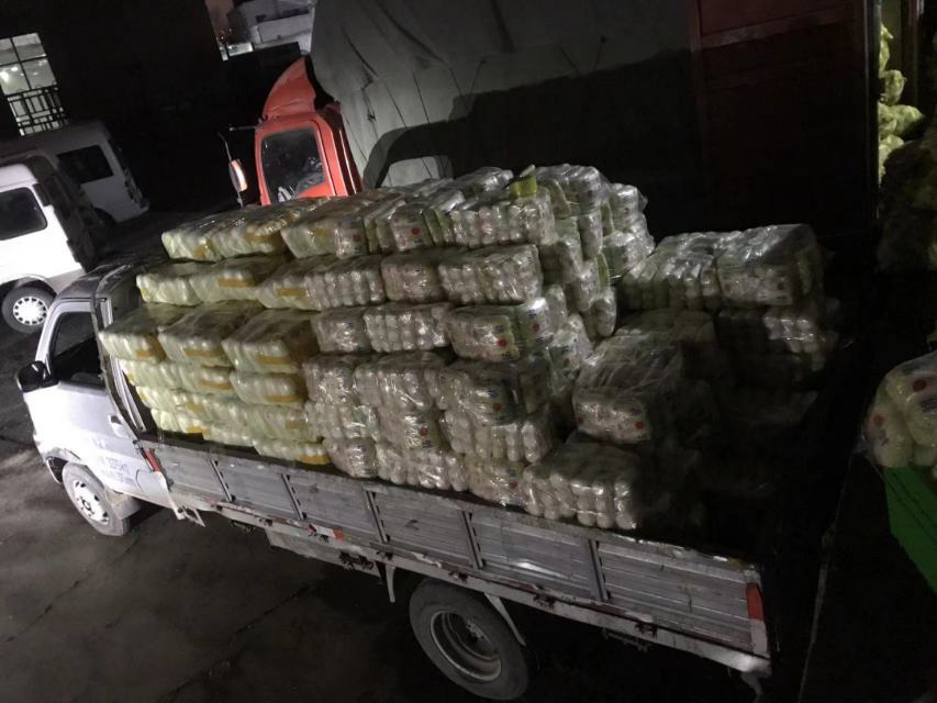 河北张家口赤城县娃娃菜冷链分拣中心内部实景，工人正在全自动包装线上将娃娃菜按规格装入保鲜托盘，背景可见-2℃预冷间门禁系统与温控显示屏