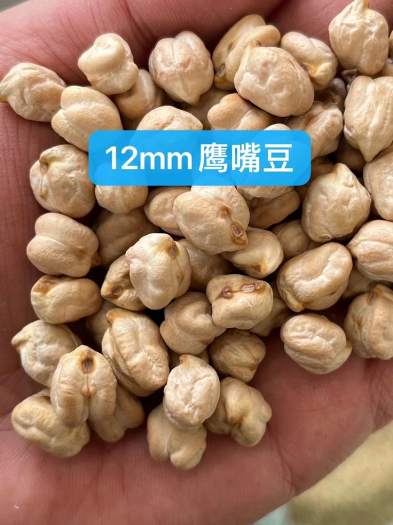 鹰嘴豆鸡心豆天麻子现货批发天山奇豆豆浆原料