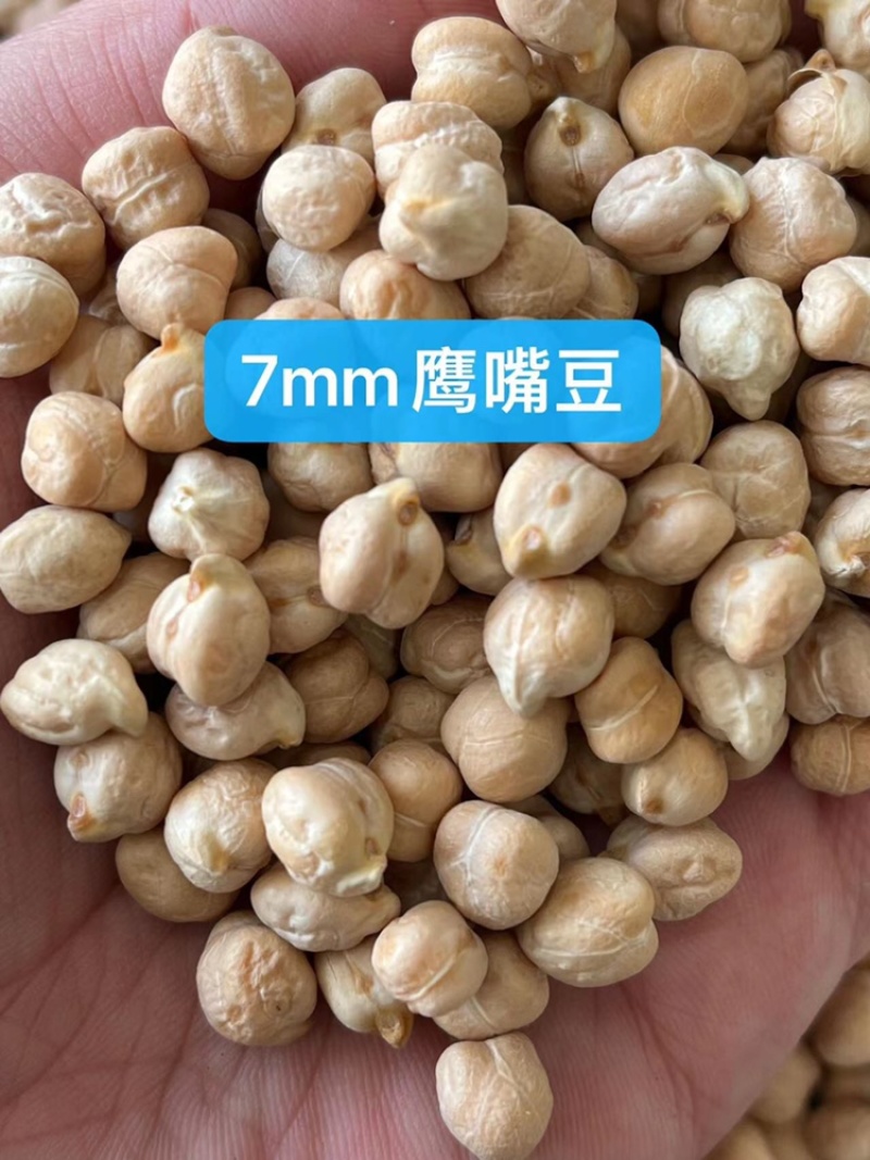 鹰嘴豆鸡心豆天麻子现货批发天山奇豆豆浆原料