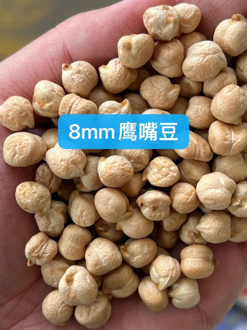 鹰嘴豆鸡心豆天麻子现货批发天山奇豆豆浆原料