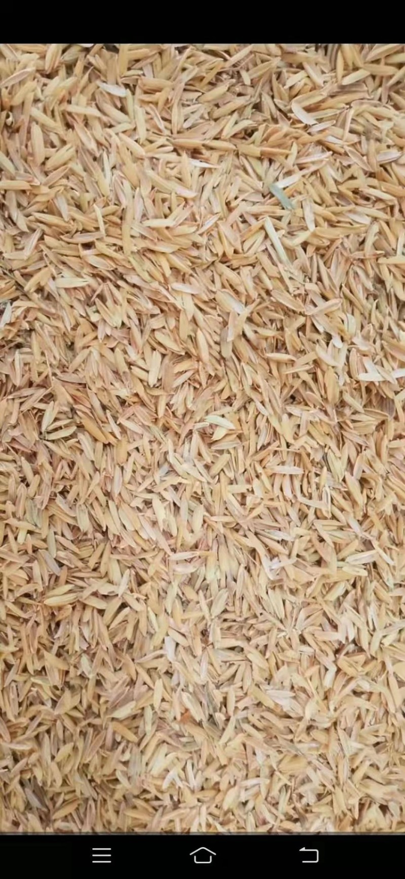 打包稻壳压缩稻壳，除尘过筛酿酒稻壳厂家直供常年有货