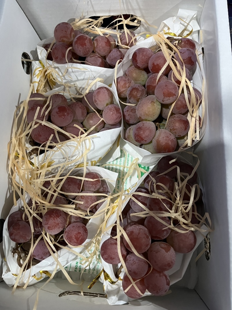 云南妮娜皇后葡萄提子香印阳光玫瑰支持一件代办