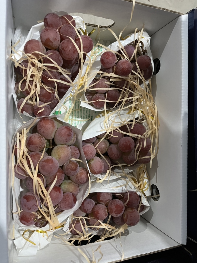 云南妮娜皇后葡萄提子香印阳光玫瑰支持一件代办