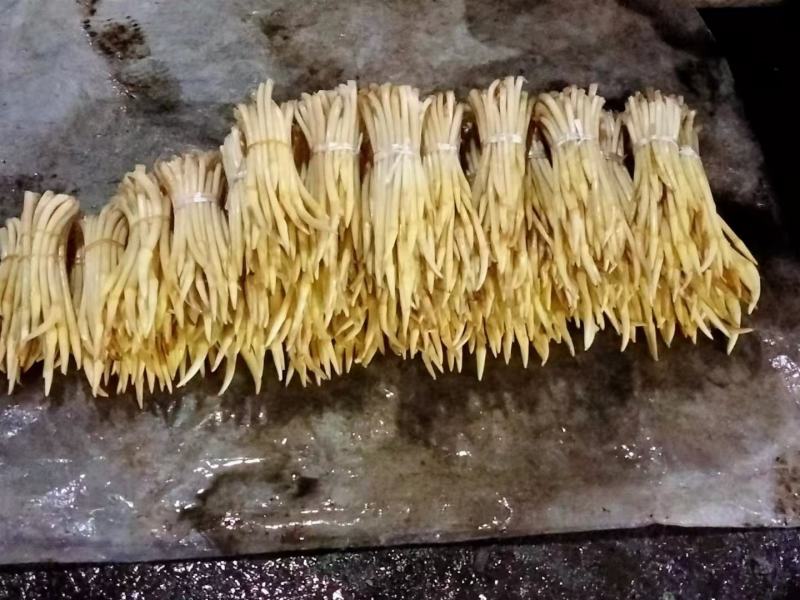 水生植物，藕带，藕条，藕鞭，藕钻子，藕尖，藕肠子