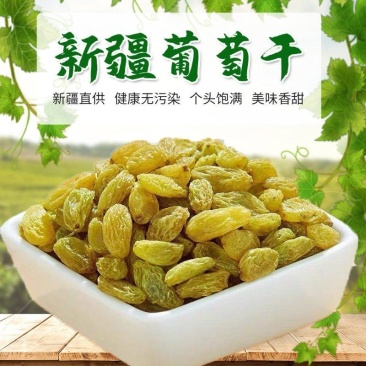 包邮特价批发批发新疆吐鲁番葡萄干树上黄量大优惠一件代发