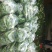 各种蔬菜。需要的与我联系
