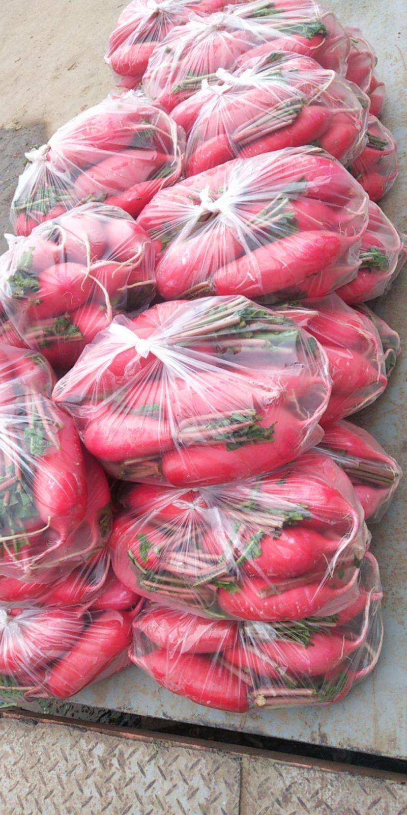 各种蔬菜。需要的与我联系