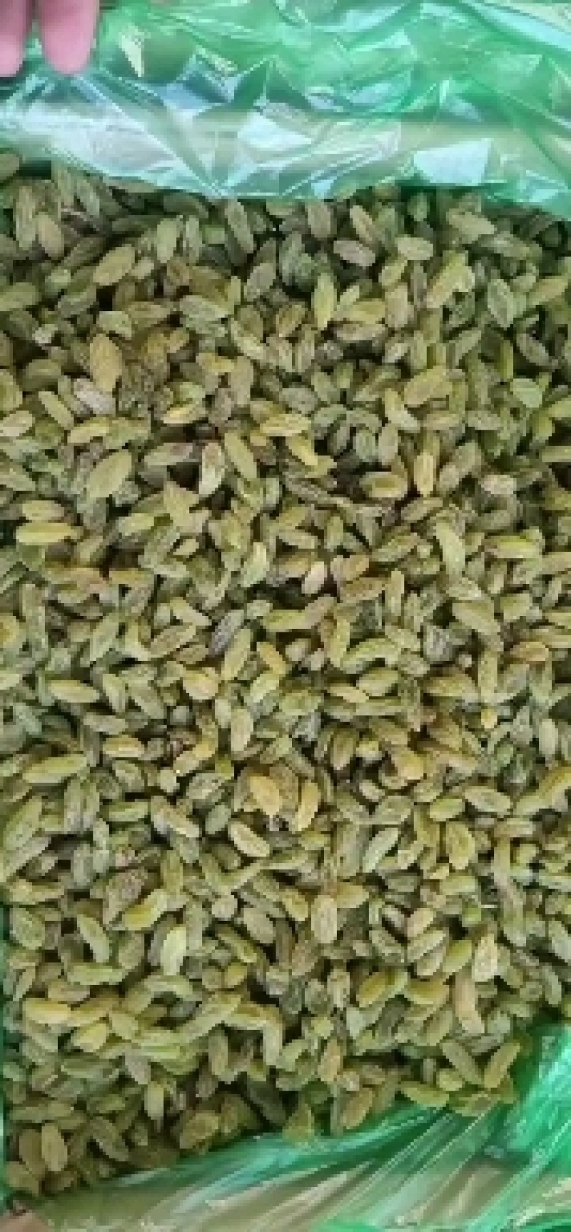 包邮批发新疆吐鲁番葡萄干散装原味休闲零食一件代发量大优惠