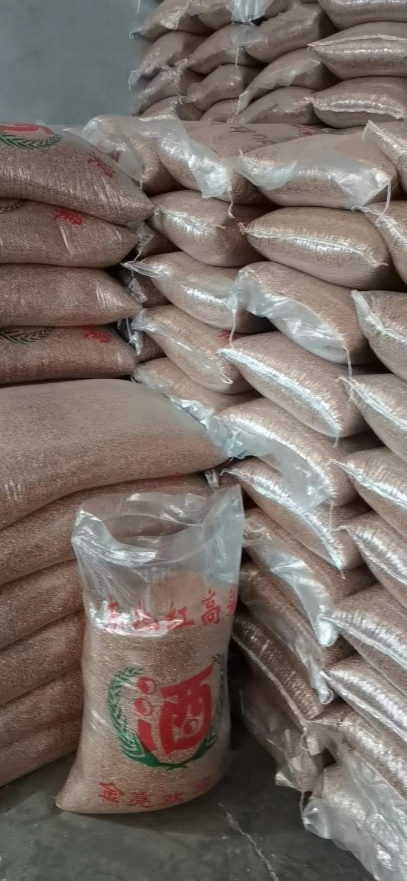 高粱现货批发澳洲东北高梁带皮高粱酿酒高粱量大从