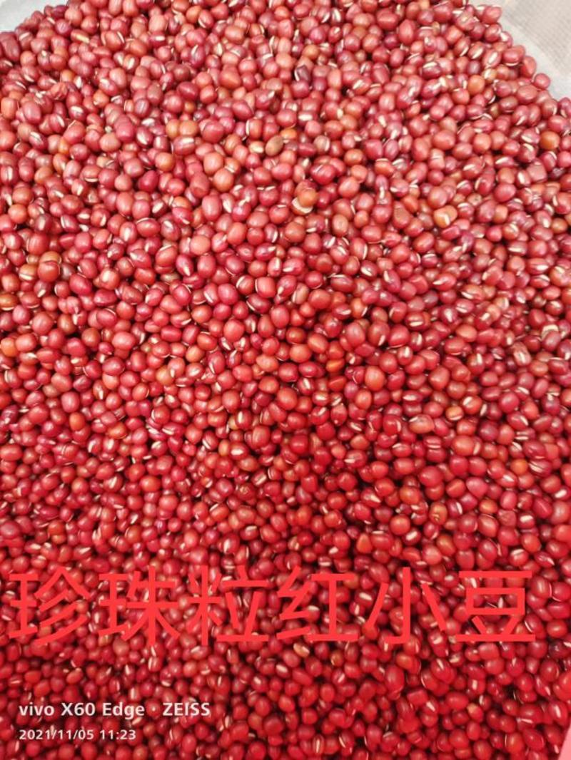 红豆现货供应新东北大粒、小粒红豆五谷杂粮袋装50斤