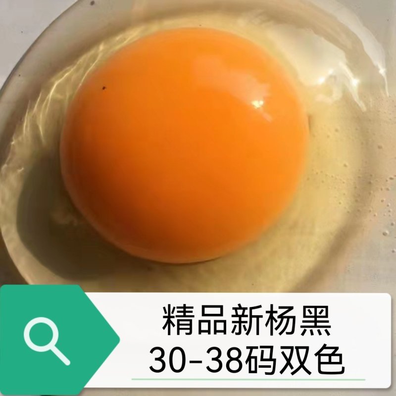 双色精品新杨黑信阳黑各种码数有货大厂货源无抗可提供发票