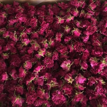 2025年一级玫瑰花茶花冠茶