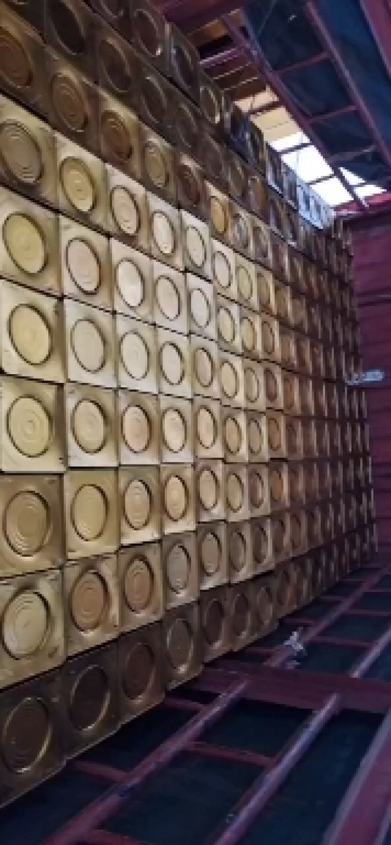 江西地标产地甜品种小竹笋