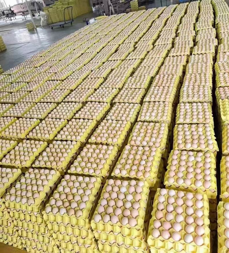 双色精品新杨黑信阳黑各种码数有货大厂货源无抗可提供发票