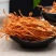 虫草花干货孢子头虫草花批发新鲜无硫干虫草花炖汤食用菌批发