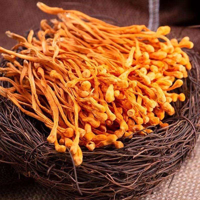 虫草花干货孢子头虫草花批发新鲜无硫干虫草花炖汤食用菌批发