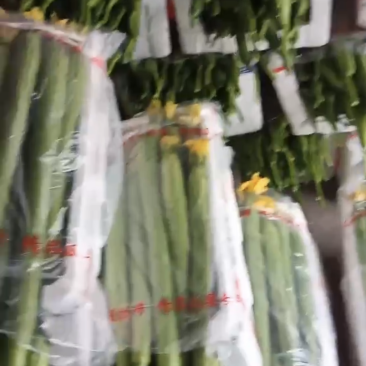 丝瓜，带花丝瓜