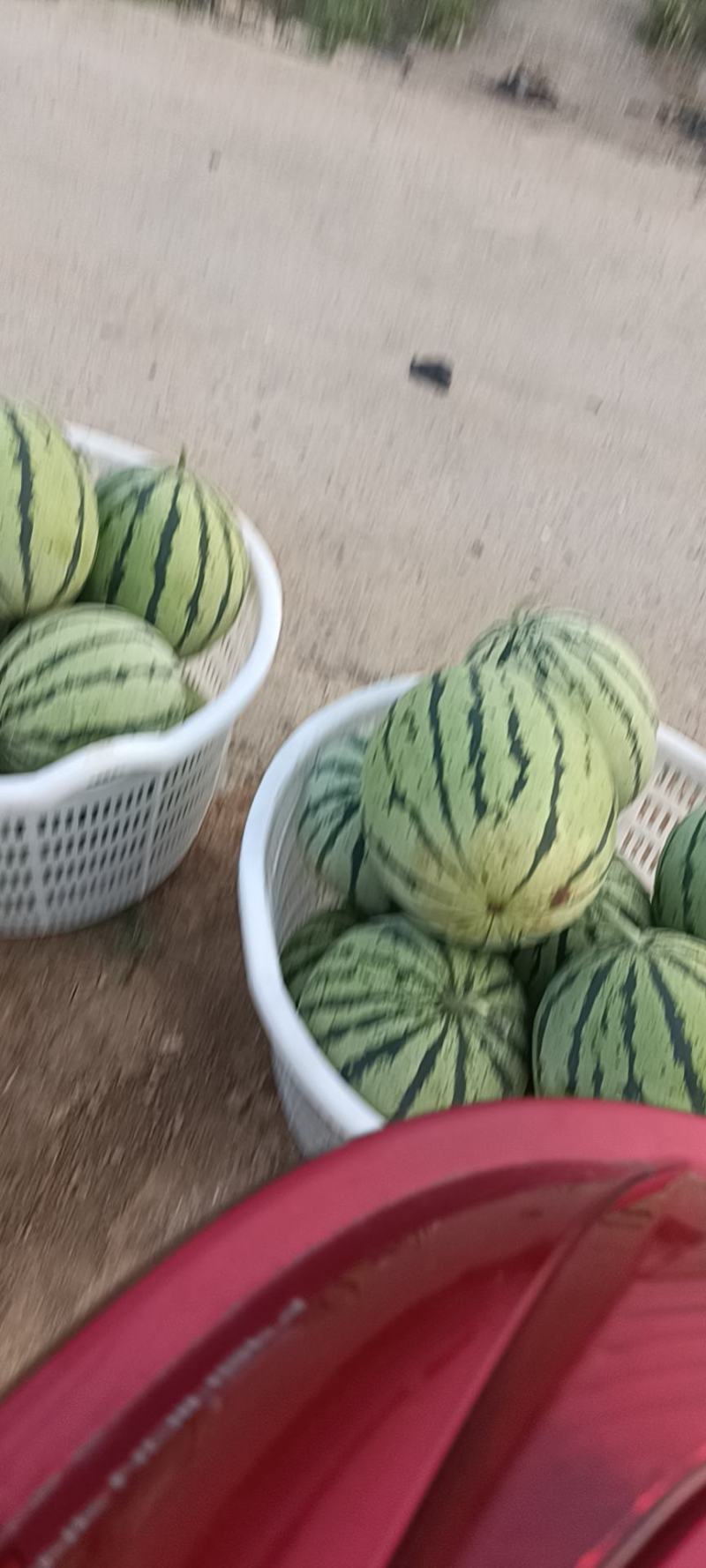 精品美都