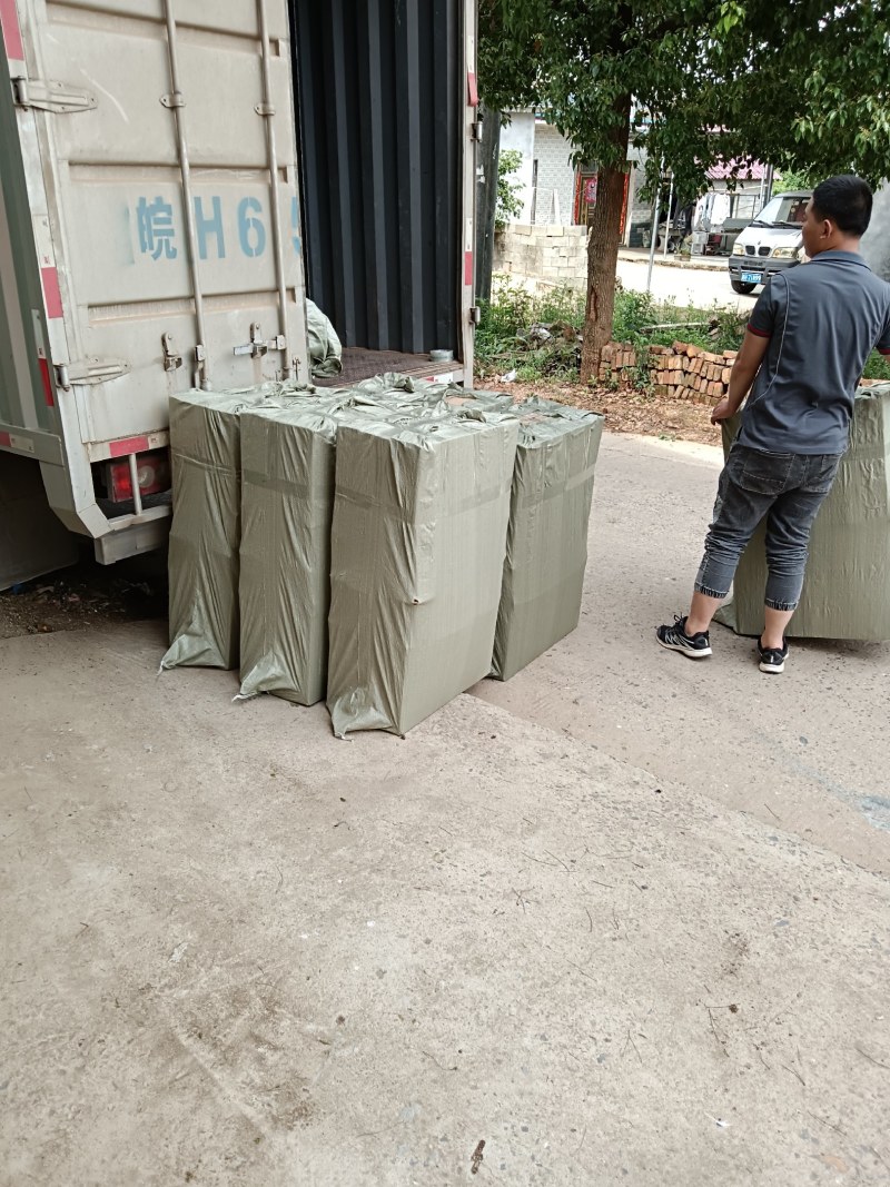 苔藓