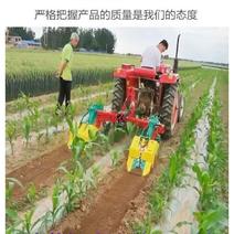中耕旋耕除草机拖拉机后置膜间除草施肥机玉米蔬菜行间去草机