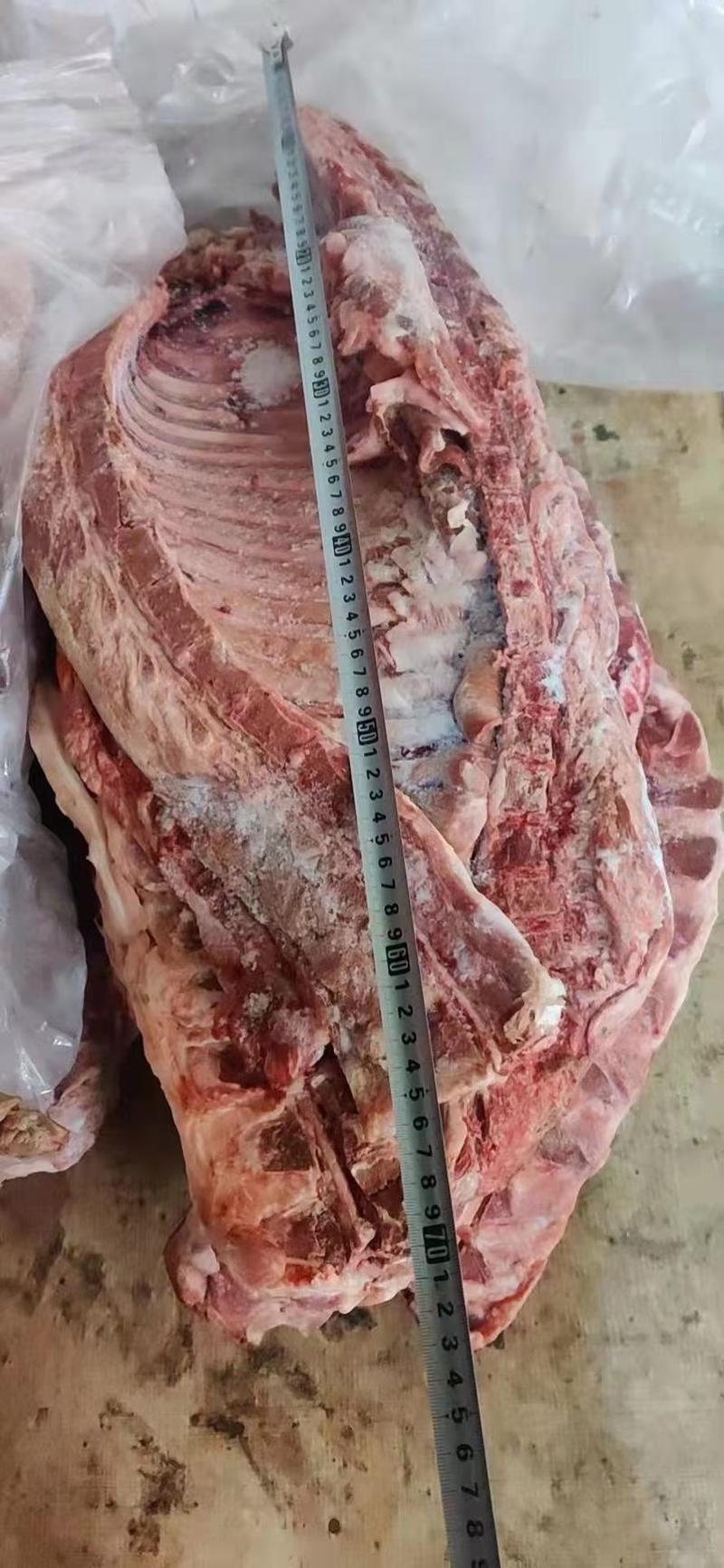 精品肥猪通排，猪排，20公斤5/6片，猪排骨