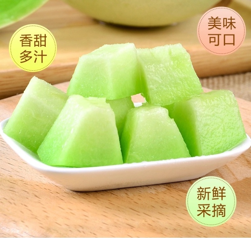 甘肃民勤沙漠蜜瓜银蒂蜜瓜甜瓜黄河蜜瓜香瓜批发