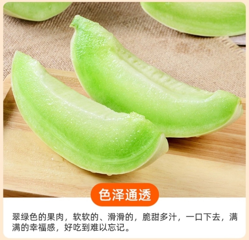 甘肃民勤沙漠蜜瓜银蒂蜜瓜甜瓜黄河蜜瓜香瓜批发