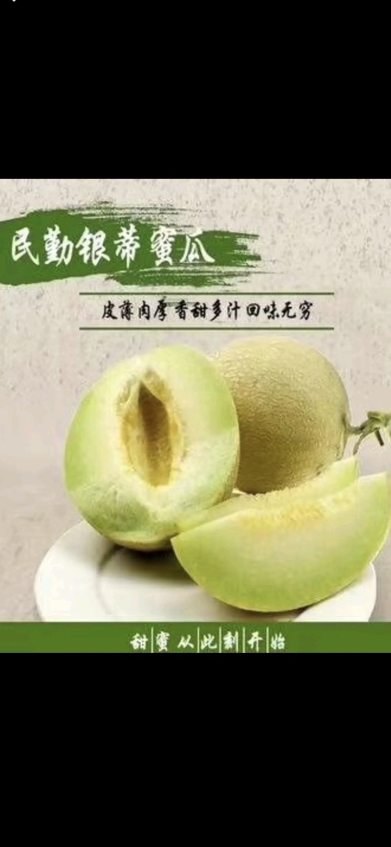 甘肃民勤沙漠蜜瓜银蒂蜜瓜甜瓜黄河蜜瓜香瓜批发