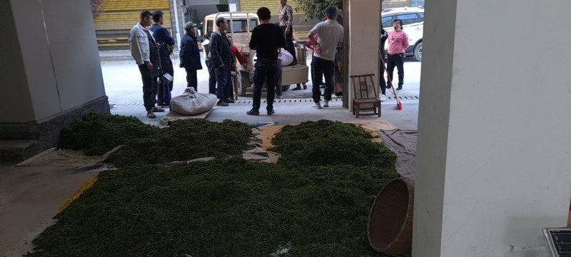 莓茶藤茶，农家自产自销，品质保证，味道香浓