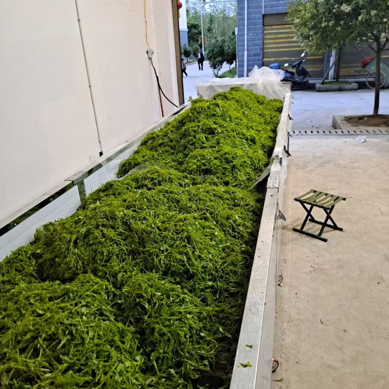 莓茶藤茶，农家自产自销，品质保证，味道香浓