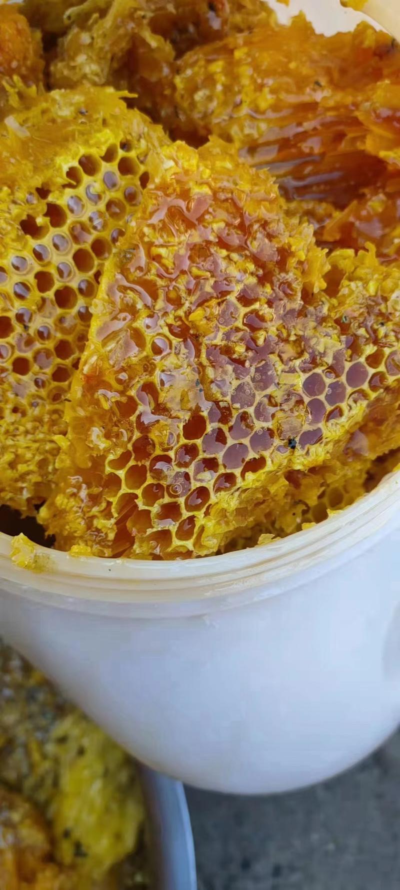 野生悬崖蜂蜜喜马拉雅大排蜂无法人工养殖