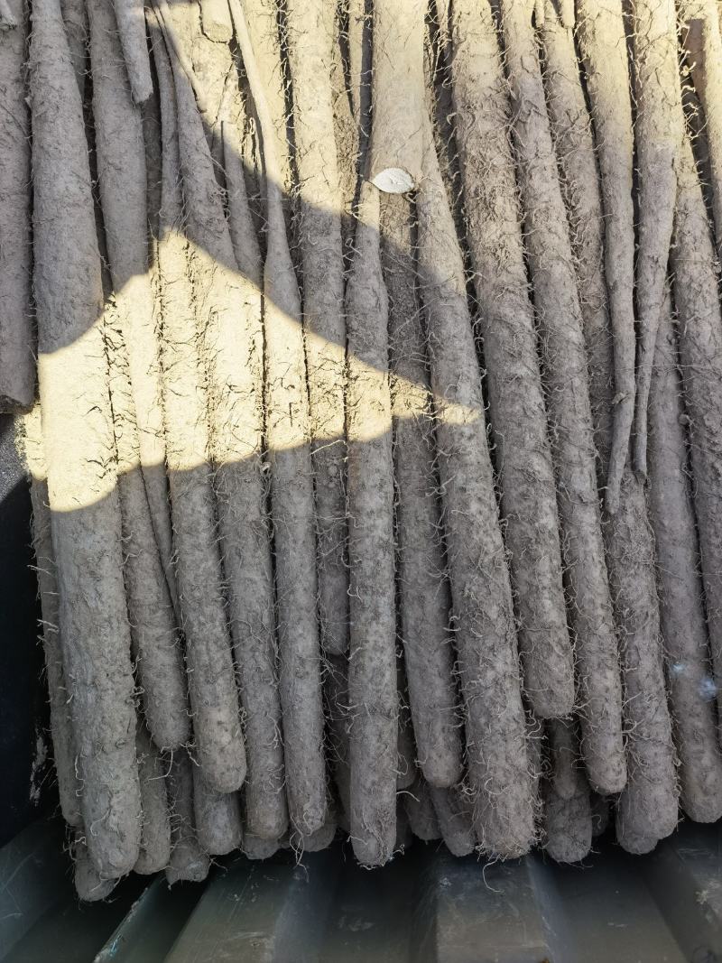 双胞山药双棒精品山药库存出库中100万斤现货
