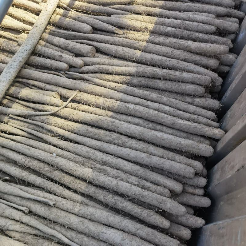 双胞山药双棒精品山药库存出库中100万斤现货