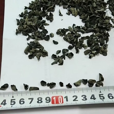 精选木耳碎，药厂，馅料专用，规格齐全，东北黑木耳碎