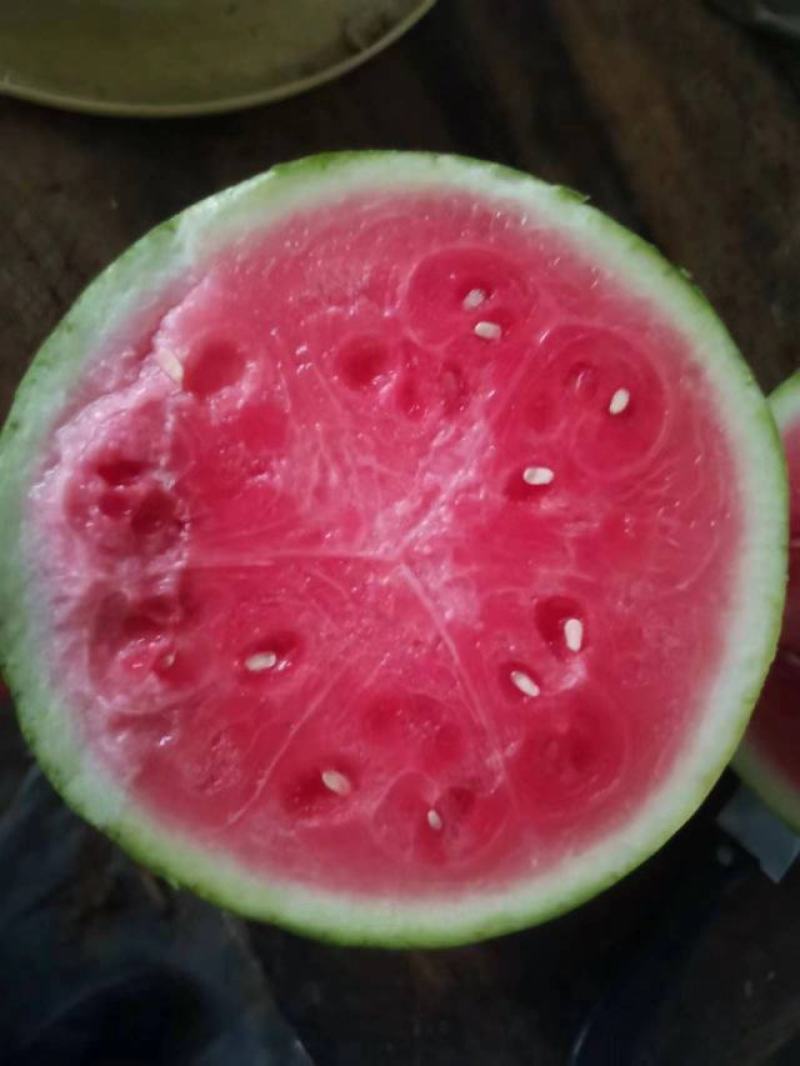 螺丝椒