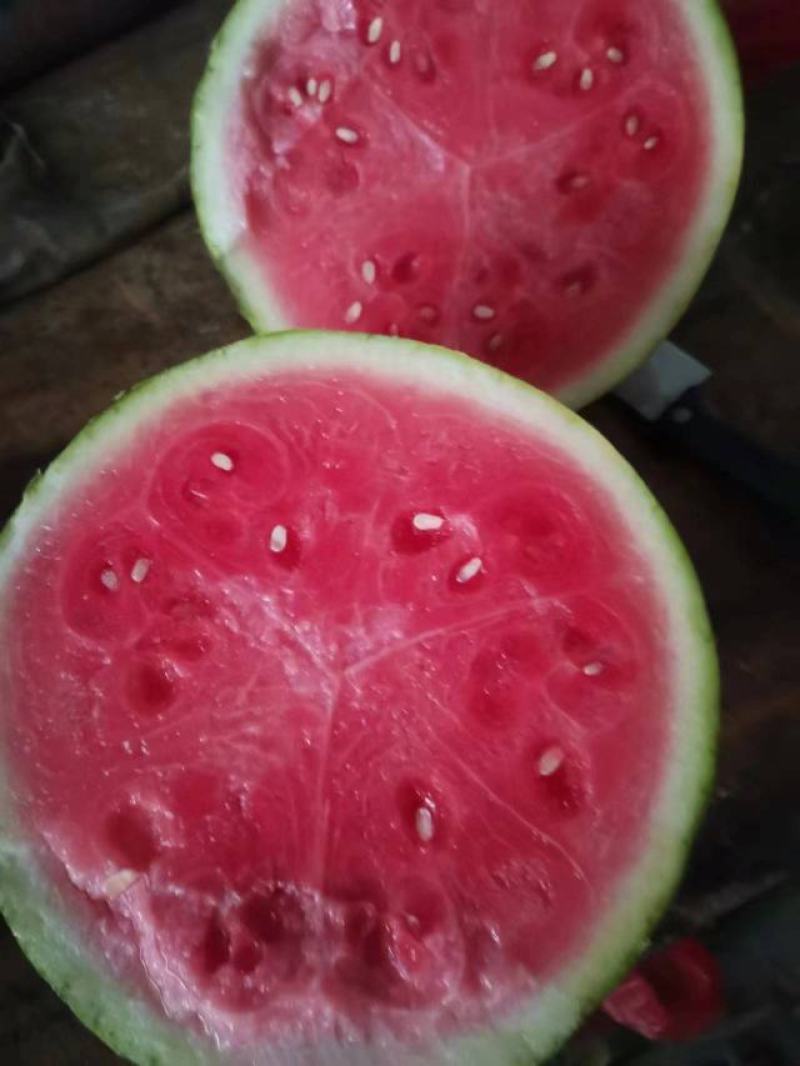 螺丝椒