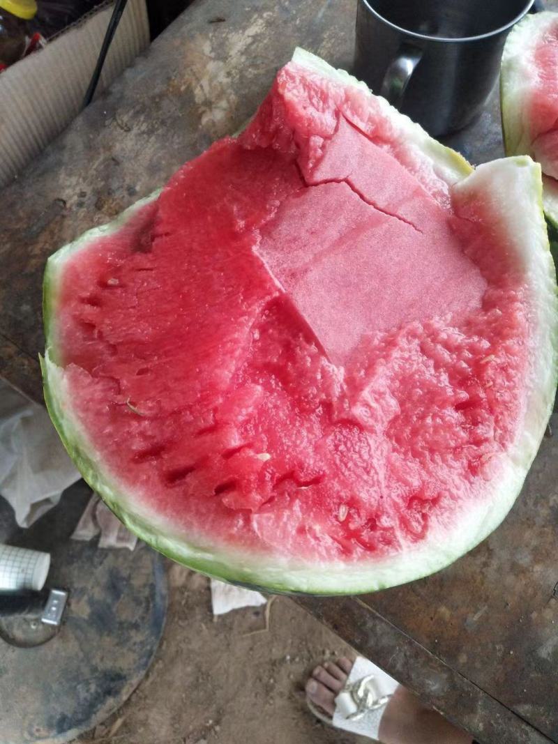 螺丝椒