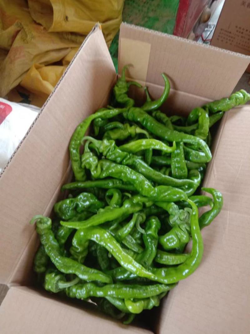 螺丝椒
